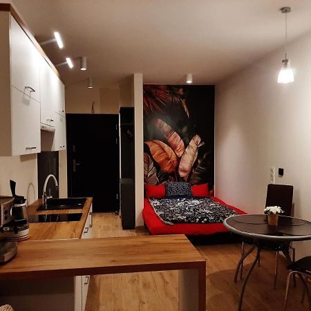 Apartament Pod Szyndzielnia, Debowiec Bielsko-Biala Exterior foto